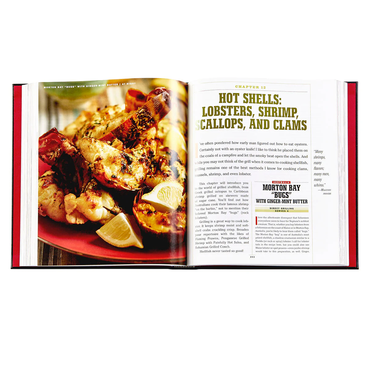 The Barbecue! Bible - Image 8